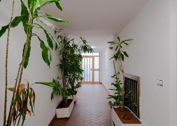 Bessemer - Charming Cottage With Garden